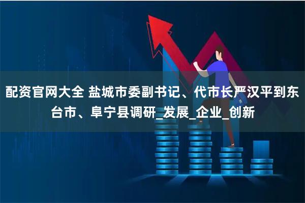 配资官网大全 盐城市委副书记、代市长严汉平到东台市、阜宁县调研_发展_企业_创新
